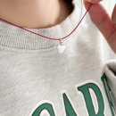 N133 이미지