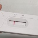 고창걸이비인후과의원 | 양주 코로나 신속항원검사 병원 추천, 신속항원검사 안아프게 하는 곳