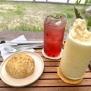 감자와 스무디 이미지