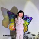 그림자 체험놀이 이미지