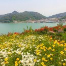 나로도주유소 이미지