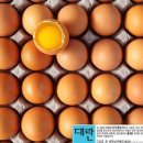 제언농장 이미지