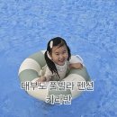 해림펜션 | 대부도 풀빌라 펜션 카라반 온수풀 수영장이 있어 아이랑 캠핑하기 좋은 선재해림