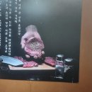 도원한우