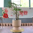 동백가구 - 서구 천변좌로 243 | 동백가구