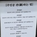 주인공 관(觀)하는 법 ㅡ 혜광스님 이미지