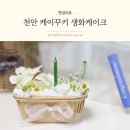 케이꾸키