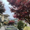 호미인문경 이미지