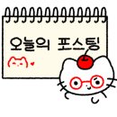 스피드메이트(주) 이미지