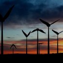 Tyer Wind, 벌새 날개짓을 응용한 풍력 터빈 개발중 이미지