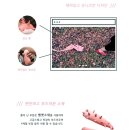 디열