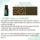 오일박사 | [공지] 8종 닥터힐 에센셜 오일 15ml 키트를 15% 할인!&amp; 딕터힐 초청 특강 후기