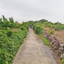 가파초등학교 이미지