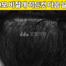 모엠
