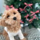 시오꾸꾸 | [후기글] 시오꾸꾸 유치원