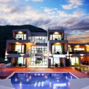 비다펠리스 이미지