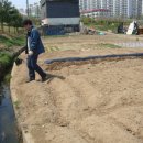 제일종묘상