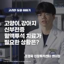 (주)신장메디칼 이미지