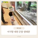 곤충생태관_1 | [대전 아기랑 갈만한 곳] 무료입장에 실내 데이트까지! ‘대전 곤충 생태관’ 체험후기