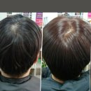큐사랑헤어샵 | 부산미용실 추천 <큐사랑 부산시청점> 탈모관리 & 클리닉 전문 부산헤어샵 후기