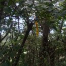 완산-163 이미지