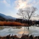 문경새재 생태미로공원 이미지