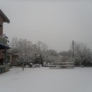 다낭성 난소증후군과 프로게스테론,안드로겐의 관계 이미지