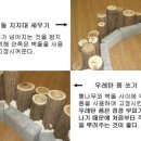 월산초등학교 Daum카페
