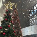 영화마을 서비스 | 2025 부산 영화의전당 크리스마스빌리지 실시간 방문 후기 및 관람 꿀팁