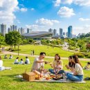 동탄 여울공원 축구장 이미지