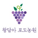 아포부분정비
