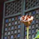 쌍계사대웅전 이미지