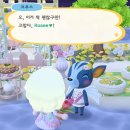 브루스템 이미지