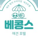 베콩스 이미지