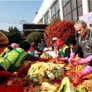 강구면사무소 이미지