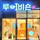 루이비숀 이미지