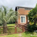 그리니제주 이미지