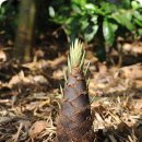 심폐소생술의 필요성 이미지