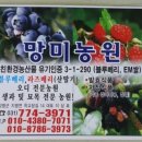 망미농원