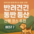 정천~주천 단풍나무길 | 반려견과 함께 떠나는 전국 산행 명소 7선 : 강아지 동반 가능한 등산 코스 총정리