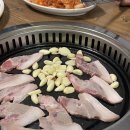 뉴착한고기