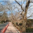 은파호수공원 9-1 이미지