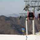 비발디파크 스키월드 이미지