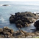 새천년도로 이미지