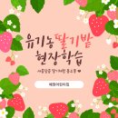 도영농장 이미지