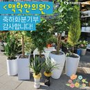 맥락한의원 이미지