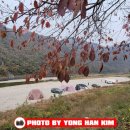 모곡다올타운 이미지