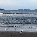 몽산포랑바다랑 이미지