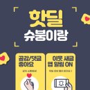 미가퀸 이미지