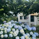 남상보건지소 이미지